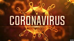 Image result for coronavirus