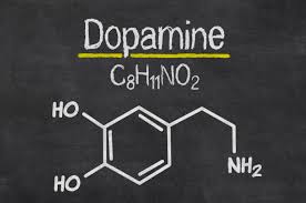 Balancing Your Dopamine Levels to Feel Great! - Kinesiology Institute